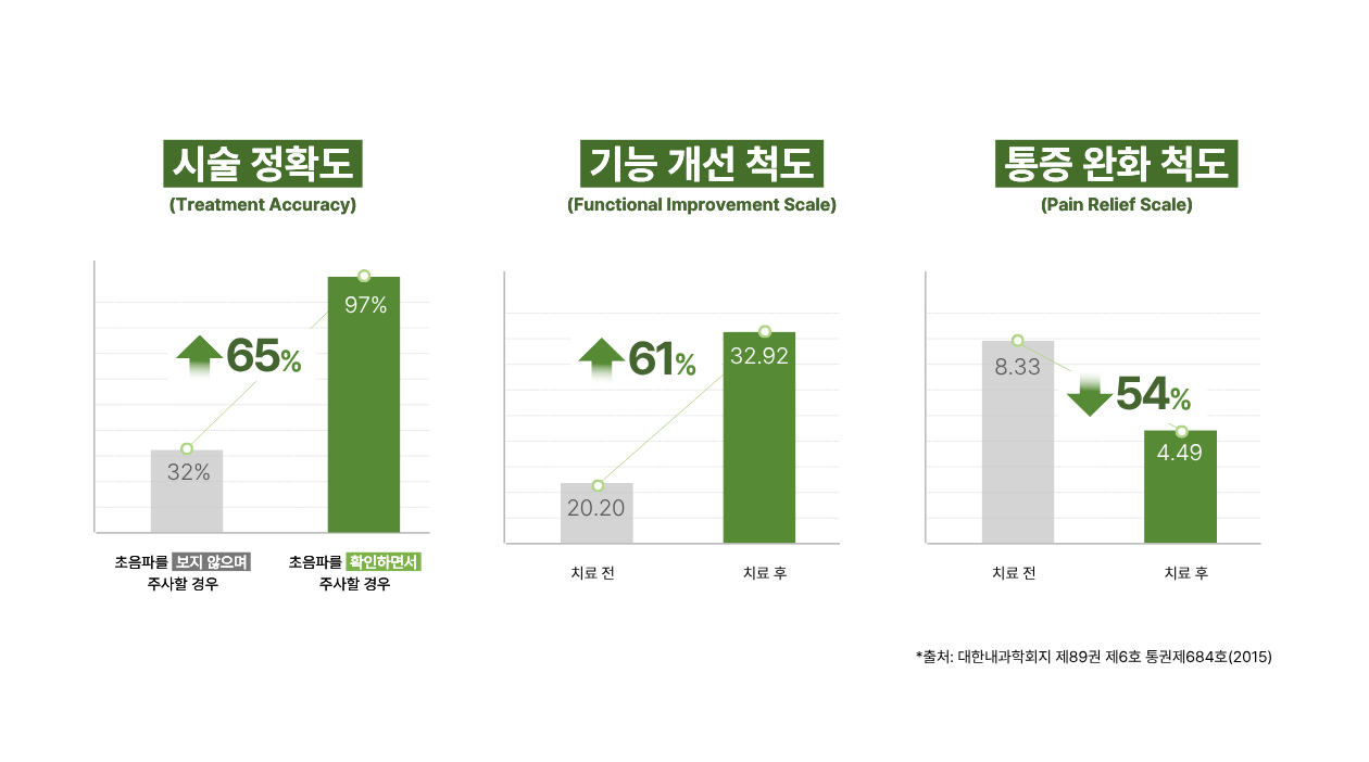 초음파 유도 약침시술의 장점 그래프